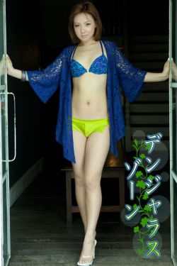 蛊惑专家
